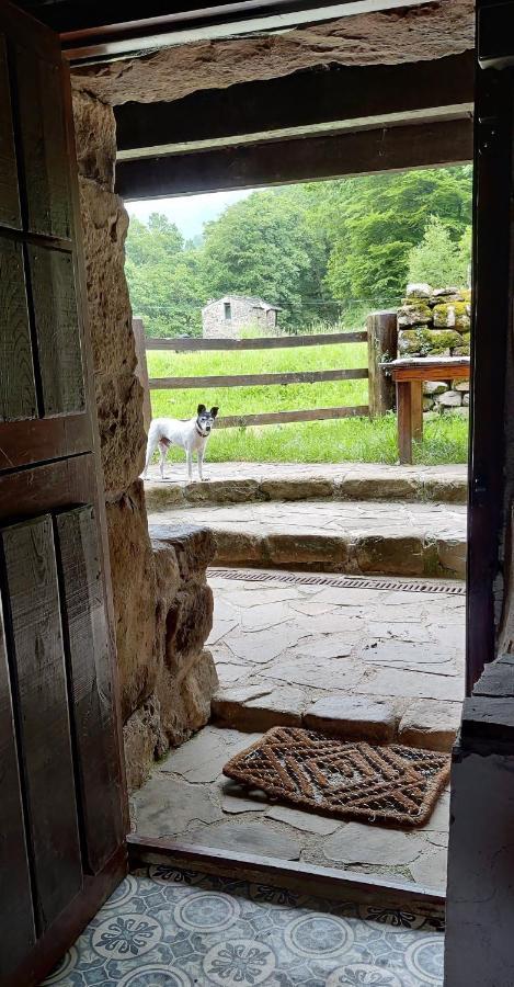 Pidream Cottage . Cabanas De Pisuena Selaya Zewnętrze zdjęcie
